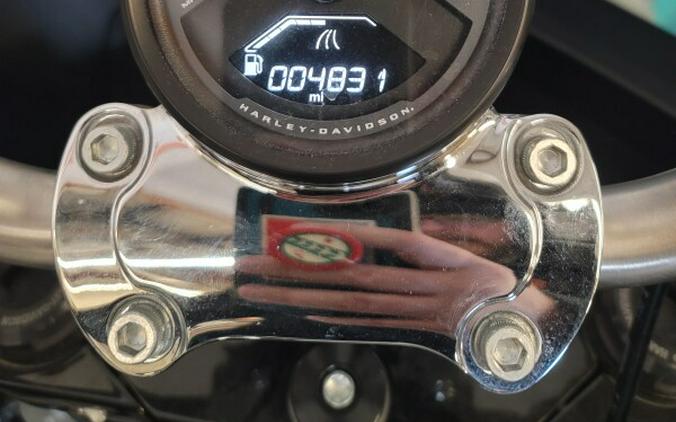 2025 Harley-Davidson® Low Rider® ST Billiard Gray FXLRST