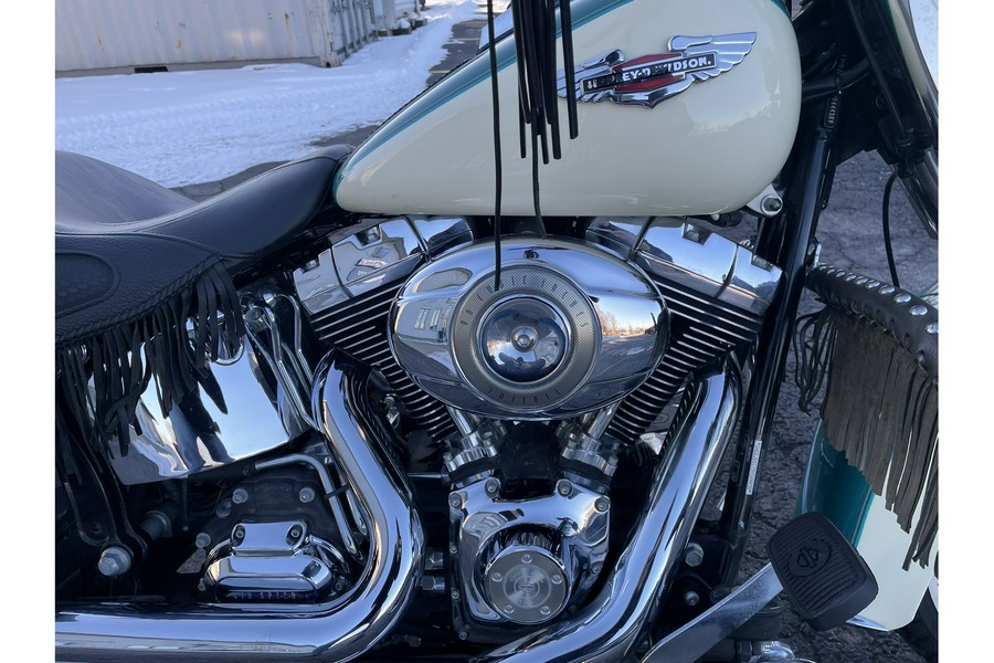 2009 Harley-Davidson® FLSTN SOFTAIL DELUXE