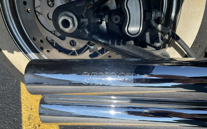 2009 Harley-Davidson Softail FLSTN DELUXE