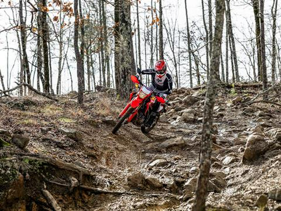 2023 Honda CRF300L ABS