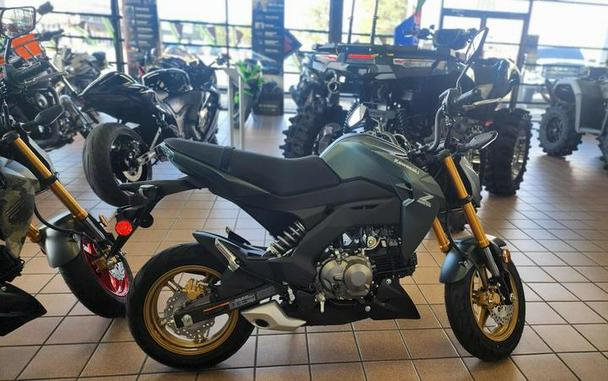 2025 Kawasaki Z125 PRO
