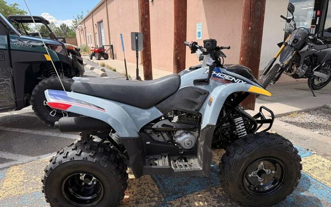 2026 Polaris Phoenix 200