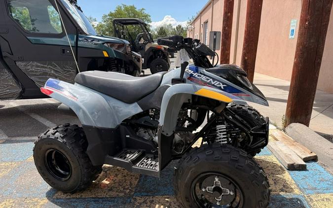 2026 Polaris Phoenix 200