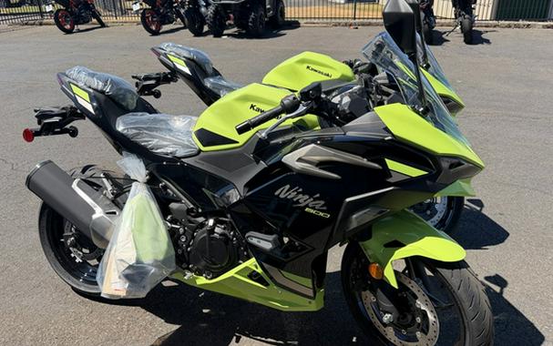 2026 Kawasaki Ninja 500 SE ABS