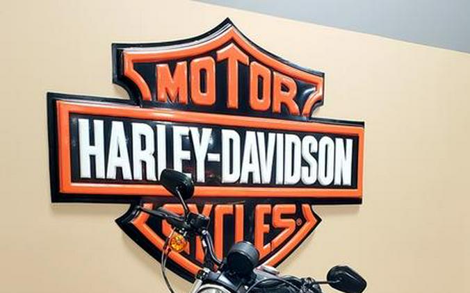 2022 Harley-Davidson® XL883N - Iron 883™