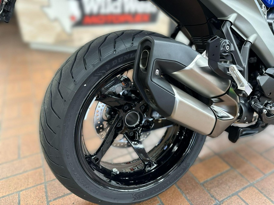 2026 BMW R 1300 RS DEMO