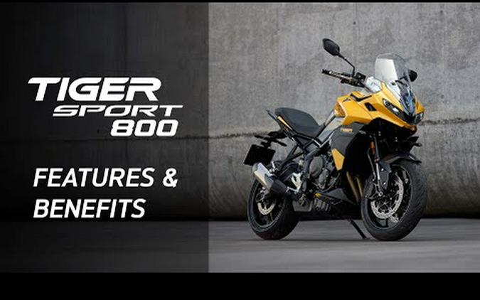 2026 Triumph Tiger Sport 800