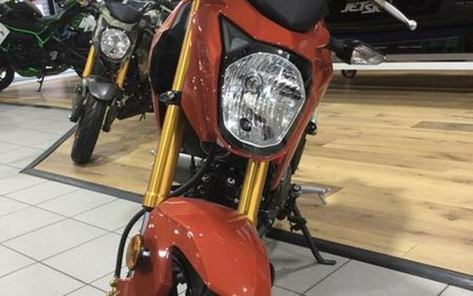 2025 Kawasaki Z125 PRO