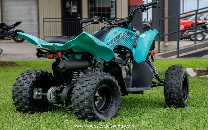 2024 Yamaha Raptor 110