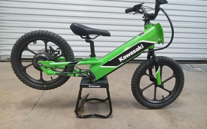 2023 Kawasaki Elektrode