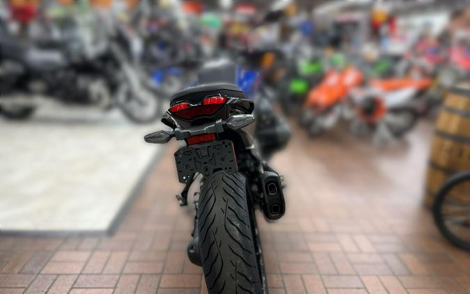 2026 BMW R 1300 R DEMO