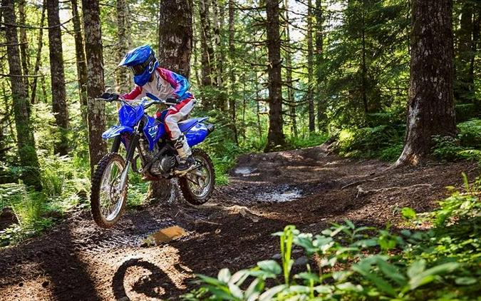 2025 Yamaha TT-R125LE