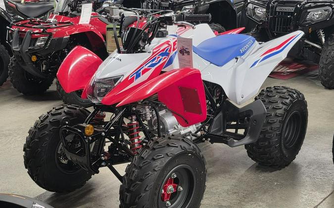 2026 Honda TRX® 250X