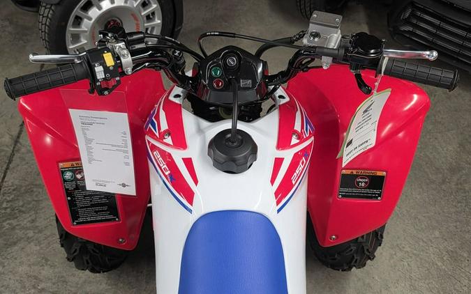 2026 Honda TRX® 250X