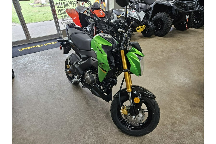 2024 Kawasaki Z125 Pro