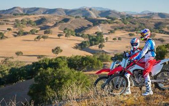 2016 Honda CRF230F