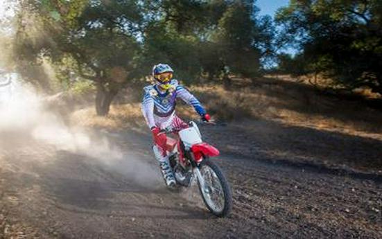 2016 Honda CRF230F