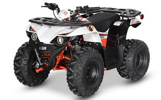 2026 Kayo Bull 125 EFI