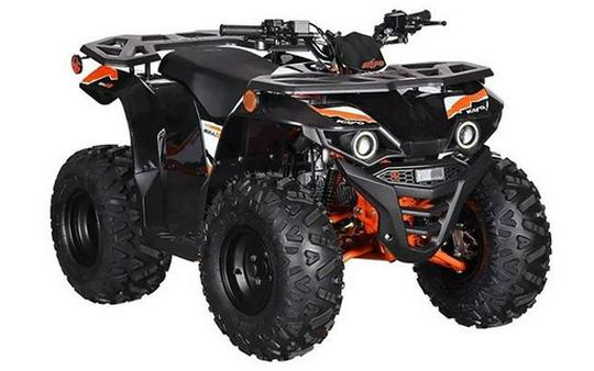 2026 Kayo Bull 125 EFI