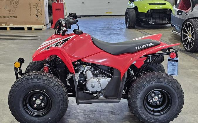 2025 Honda TRX® 90X