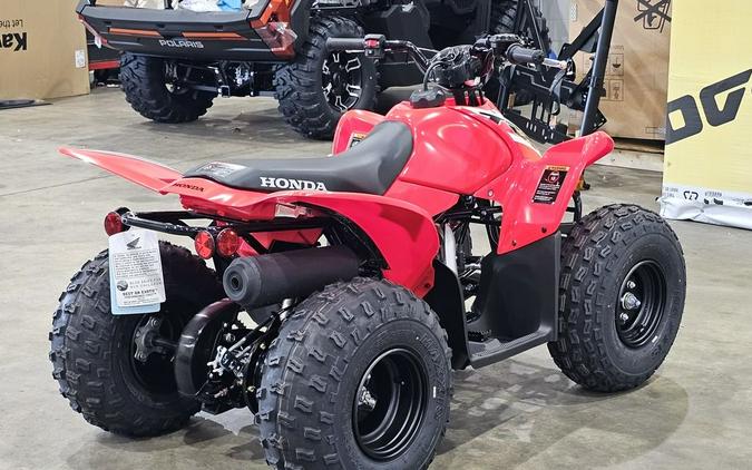 2025 Honda TRX® 90X