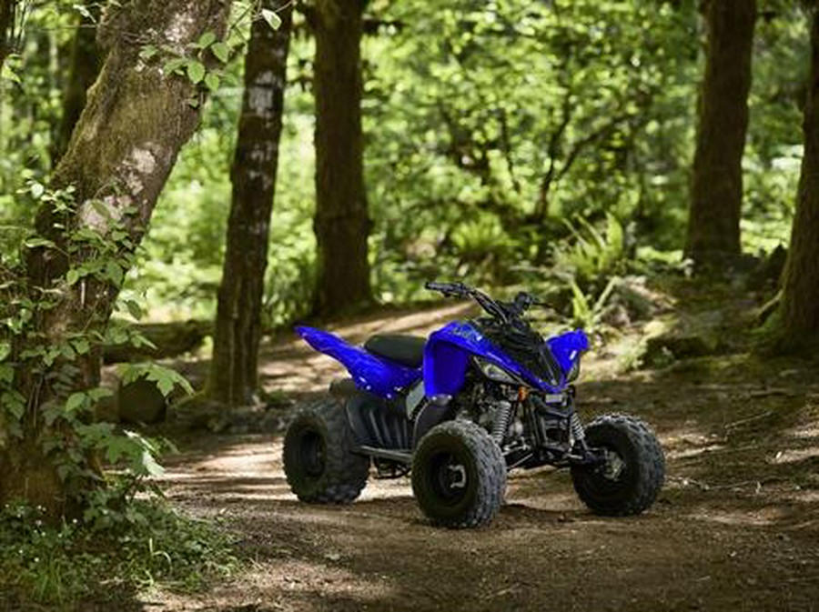 2026 Yamaha Raptor 110
