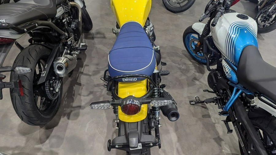 2025 Royal Enfield Bear 650 Wild Honey