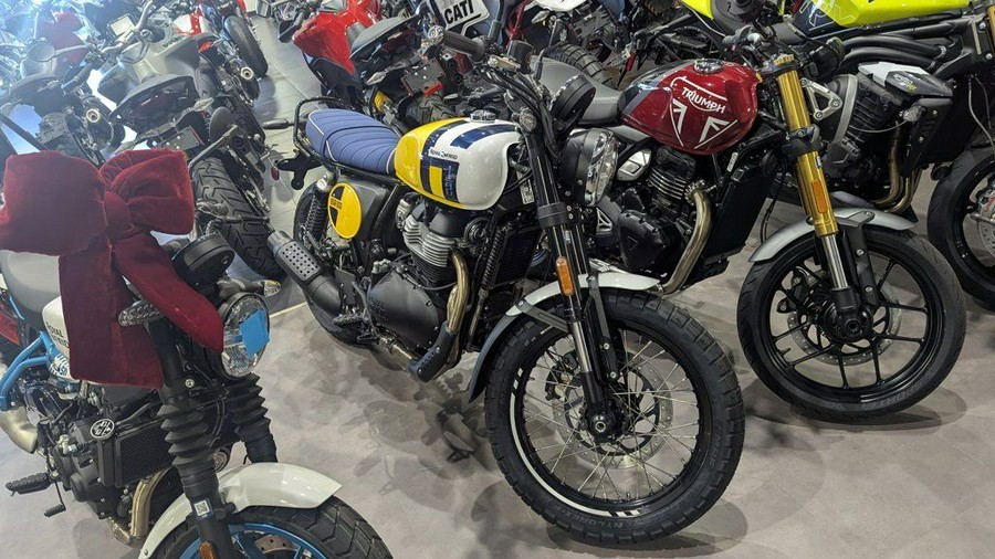 2025 Royal Enfield Bear 650 Wild Honey