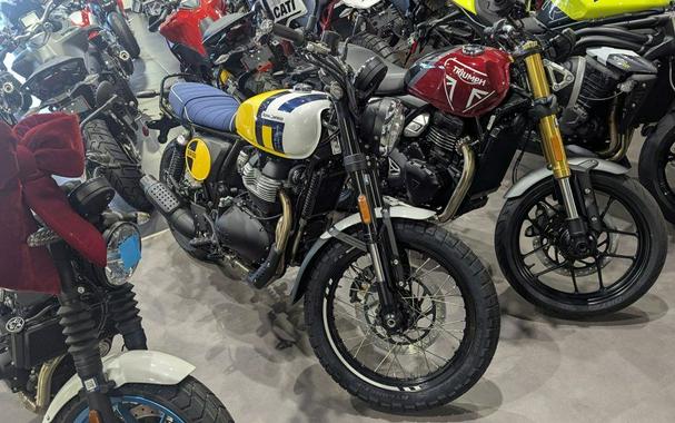 2025 Royal Enfield Bear 650 Wild Honey