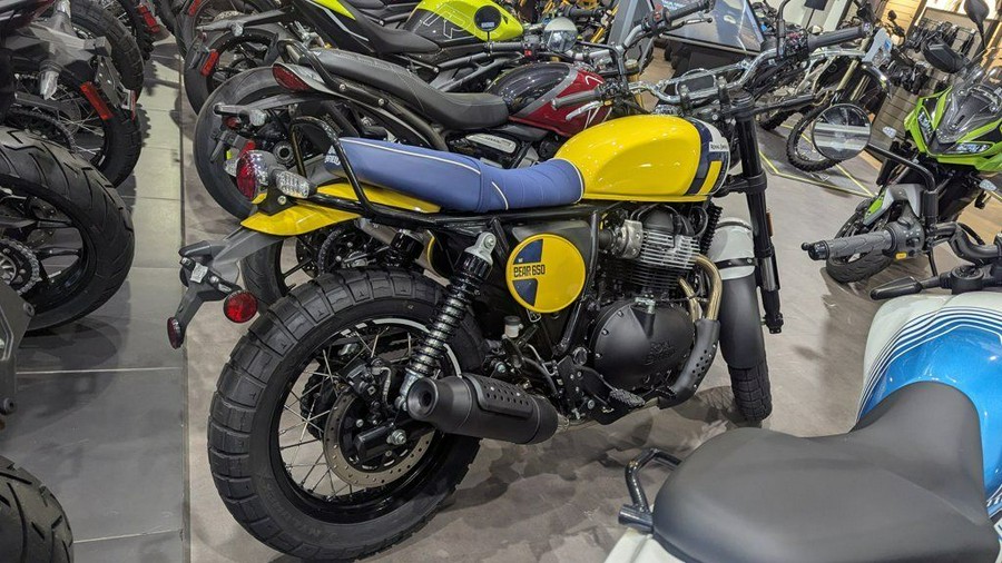 2025 Royal Enfield Bear 650 Wild Honey