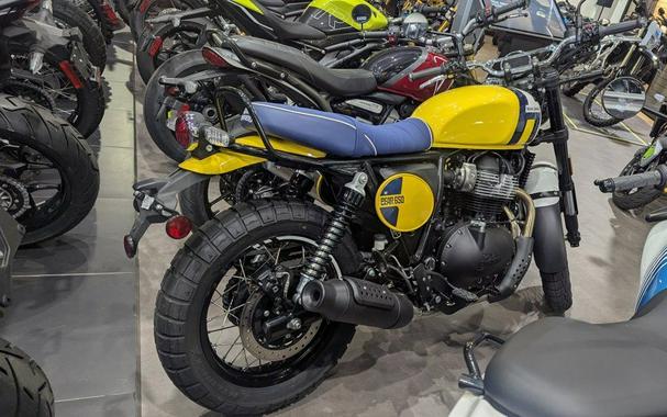 2025 Royal Enfield Bear 650 Wild Honey