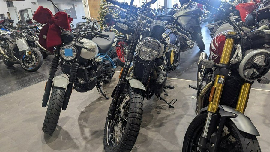 2025 Royal Enfield Bear 650 Wild Honey