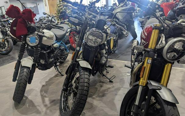 2025 Royal Enfield Bear 650 Wild Honey