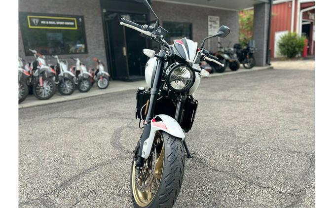 2026 Trident 800 - Triumph