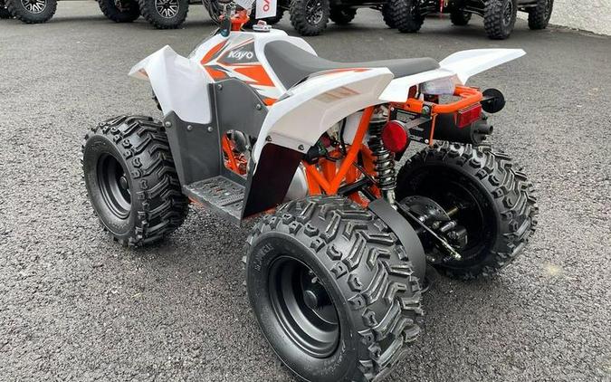 2026 Kayo Fox / Storm 70