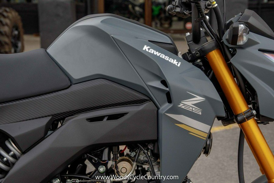 2024 Kawasaki Z125 PRO Base