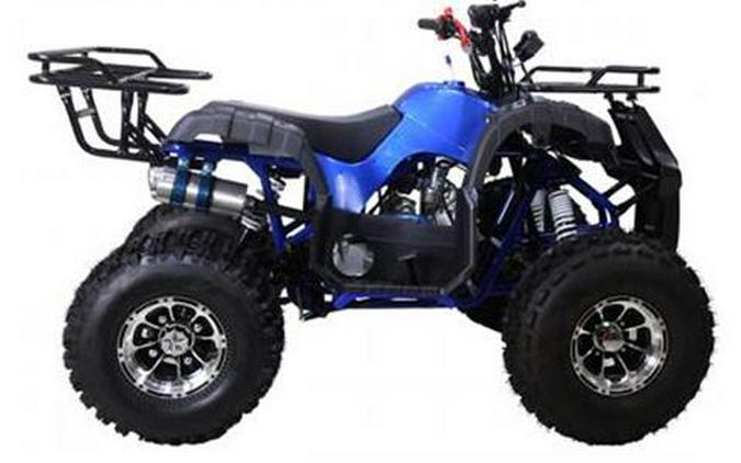 2021 Tao Motor TForce 120