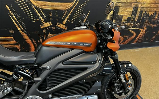 2020 Harley-Davidson LiveWire