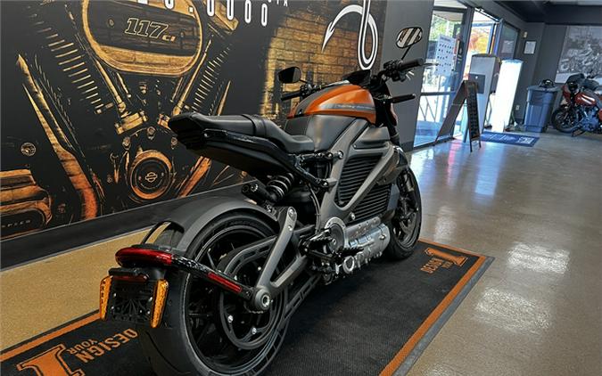 2020 Harley-Davidson LiveWire