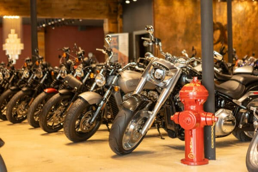 2018 HARLEY-DAVIDSON FORTY EIGHT SPECIAL CUSTOM