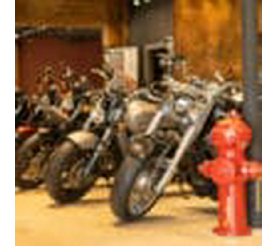 2018 HARLEY-DAVIDSON FORTY EIGHT SPECIAL CUSTOM