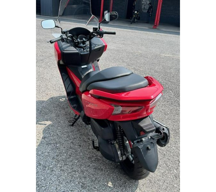 2014 Honda® Forza 150 Scooter