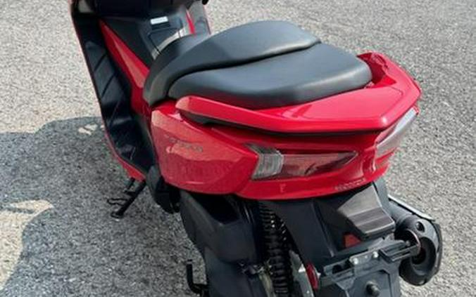 2014 Honda® Forza 150 Scooter