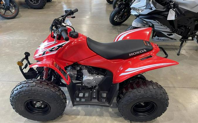 2025 Honda® TRX90X