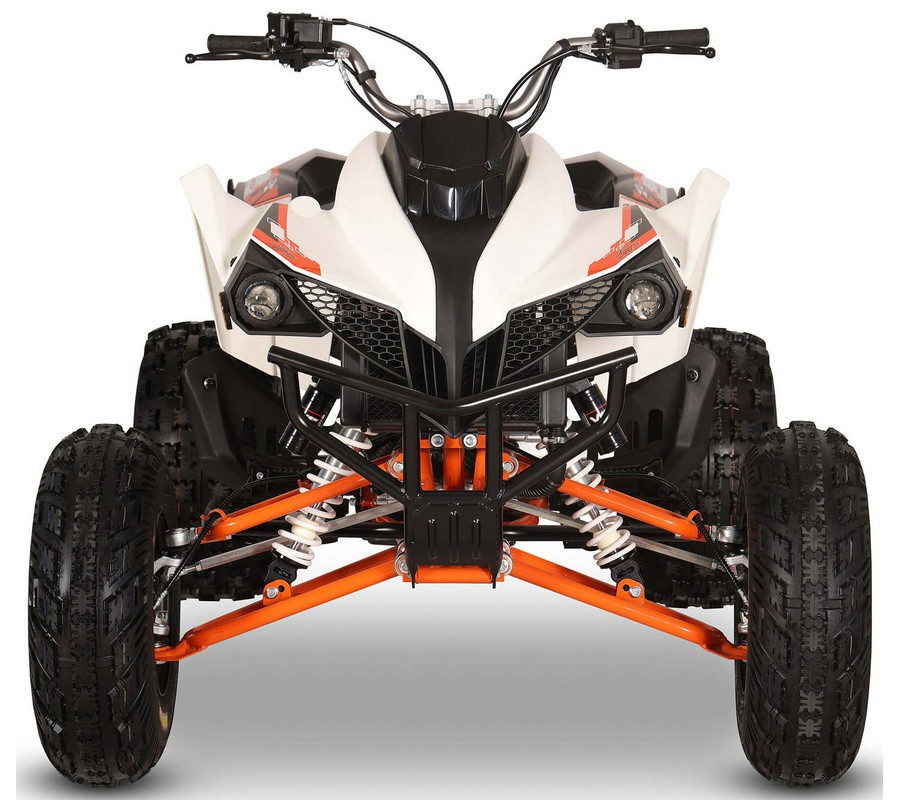 2026 Kayo Storm 300 EFI