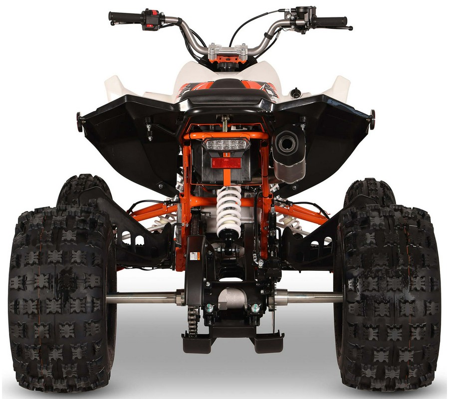 2026 Kayo Storm 300 EFI