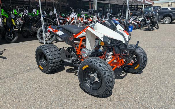 2026 Kayo Storm 300 EFI