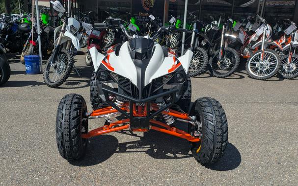 2026 Kayo Storm 300 EFI