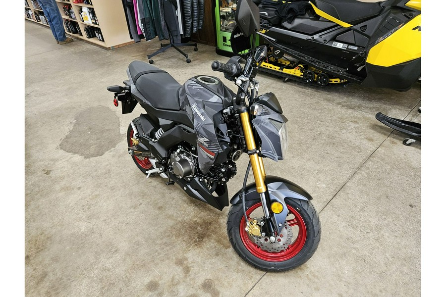 2024 Kawasaki Z125 PRO