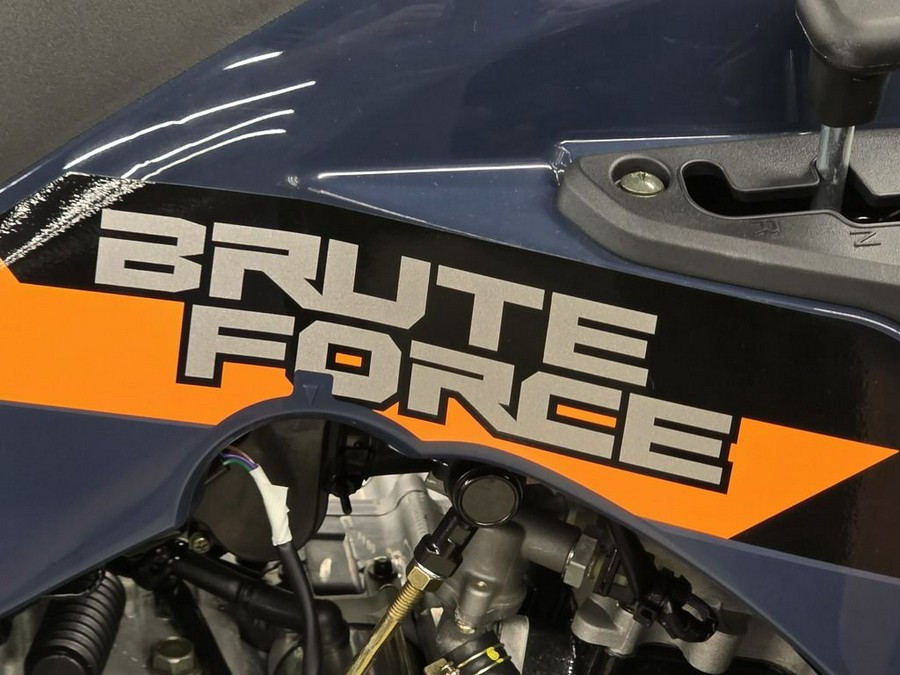 2026 Kawasaki Brute Force® 300